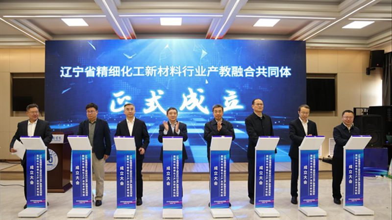 精细化工产品定制与代工：选择之道
